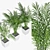 Trio of Potted Palms 3D model small image 2