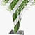 Trio of Potted Palms 3D model small image 3