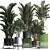 Exotic Palm Collection: Beautiful Houseplants for Interior Decoration 3D model small image 1