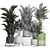 Exotic Palm Collection: Beautiful Houseplants for Interior Decoration 3D model small image 3