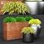 Title: Hakonechloa Grass in Pots | Planter Collection 3D model small image 1