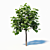 Paulownia Elongata (4m) - 3 Tree Set 3D model small image 2