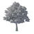 Tilia Tree: 10m Height Set 3D model small image 3