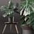 Monstera Plant in Black Pot 3D model small image 1