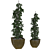 Lush Greenery: Plant & Pot 3D model small image 1