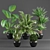 Green Oasis: 5-Piece Plant Set 3D model small image 1