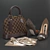 Elegant Grey Pumps and LV Bag 3D model small image 1