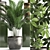 Exotic Plant Collection - Schefflera, Alocasia, Ficus Alii 3D model small image 2