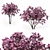 Magnolia Liliflora (3m) Trees - Set of 2 3D model small image 1