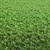 Realistic Arch_Grass for Exterior Rendering 3D model small image 2