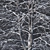 Snow-covered Tilia Trees Set 3D model small image 2