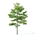 Tilia europaea Pack: 5 Forest Trees 3D model small image 5