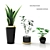 Botanic Trio: Indoor Plant Set 3D model small image 2