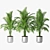 Tropical Trio Planter Set 3D model small image 1