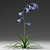 Blooming Beauty: Bluebell Garden Delight 3D model small image 3