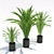 Tiny Trio: Petite Palms 3D model small image 1