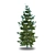 Norway Spruce Tree: 7.5m Height 3D model small image 1