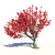 Vibrant Acer Red Sunset Maple 3D model small image 1