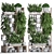 Tropical Plant Assortment - 5 Exotic Houseplants 3D model small image 1