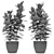 Exotic Palm Plant in Decorative Flowerpot 3D model small image 3