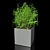 Tiny Greenery: Petite Plant 3D model small image 1