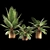 PolyCount 317k Unique Plant 3D model small image 1