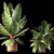 PolyCount 317k Unique Plant 3D model small image 2