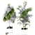 Evergreen Elegance: Plants Collection 188 3D model small image 2