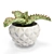 Lush Interior Aloe Plant Pot 3D model small image 1