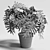 Tropical Philodendron Plant - 3D Model 3D model small image 3