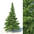 Spruce Tree 3D Model: Highly Detailed, Realistic 3D model small image 1