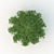 Spruce Tree 3D Model: Highly Detailed, Realistic 3D model small image 3