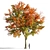 Maple Tree 3D Model: Realistic, High-Quality 3D model small image 1