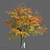  Majestic Maple Tree Sculpture 3D model small image 1