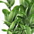 Exotic Plant in Pot: Tropical Vibes 3D model small image 2