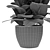 Exotic Plant in Pot: Tropical Vibes 3D model small image 3