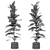 Exotic Plant in Pot: Tropical Elegance 3D model small image 3