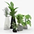 Rockbound Plant Pots - Modern and Stylish 3D model small image 1