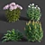 Colorful Garden Plant Set 3D model small image 1