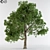 8 Colorful Leaves Broadleaf Tree 3D model small image 1
