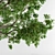 8 Colorful Leaves Broadleaf Tree 3D model small image 2
