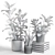 Trio of Beautiful Foliage Plants 3D model small image 3