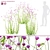 Elevated Verbena Bonar Flowers 3D model small image 1