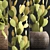 Exotic Cactus Set for Indoor Decor 3D model small image 2