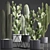 Exotic Cactus Collection: 376 Varieties 3D model small image 1