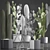 Exotic Cactus Collection: 376 Varieties 3D model small image 3