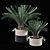 Tropical Palms in Baskets 3D model small image 1