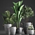 Exotic Houseplant Collection 3D model small image 2