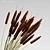 Natural Cattails in Glass Vase 3D model small image 2