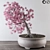 Pink Pine Bonsai: Vibrant, Versatile, and Ornamental 3D model small image 1
